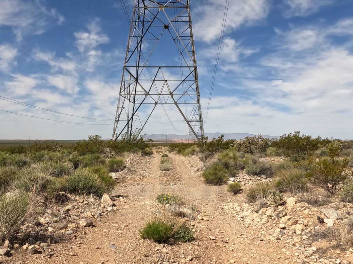 Powerline Road photo 3