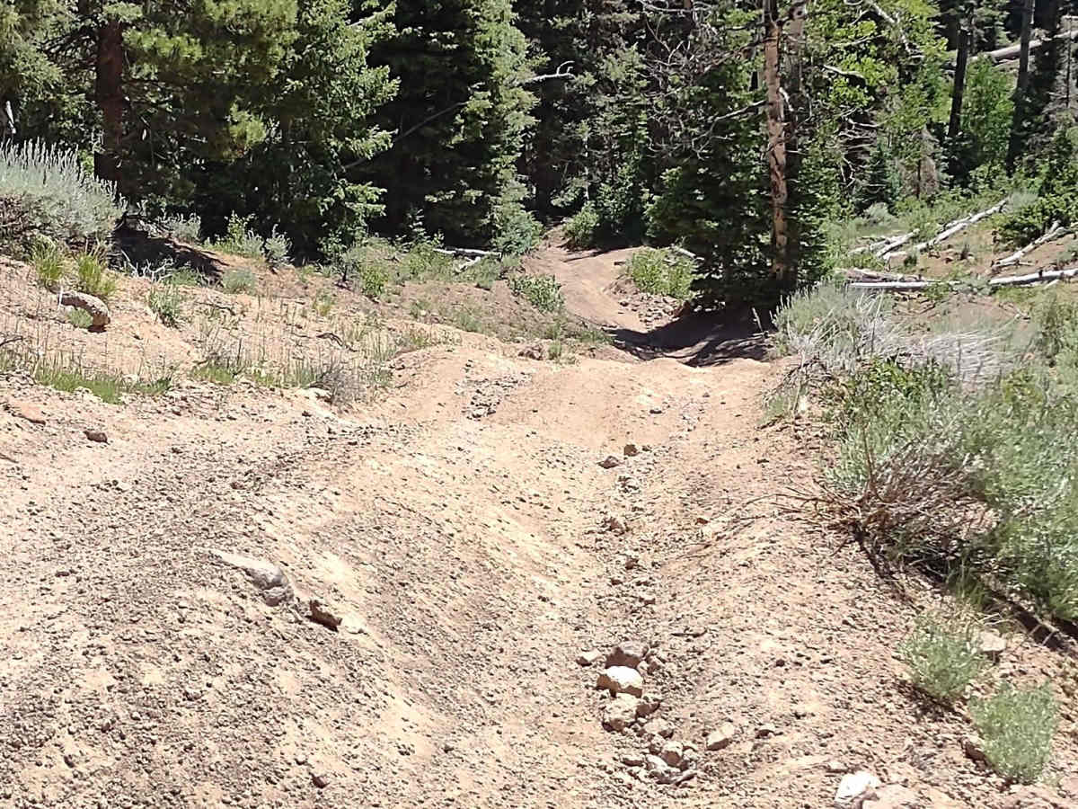 The Ugly, The Bad, and The Good (FS 40630/Dry Hollow/Trail ID 70) trail photo