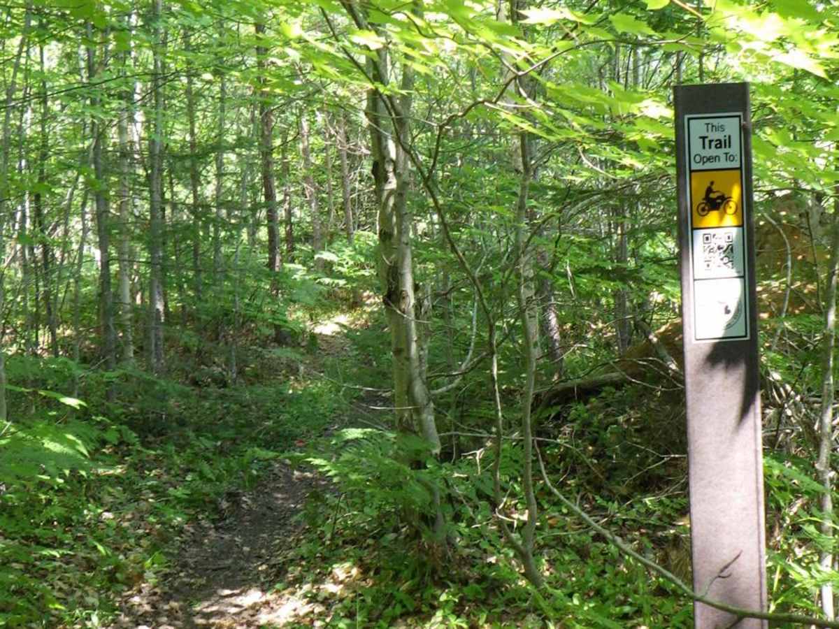 Brevort-Trout Lake Motorcycle Trail West photo 5