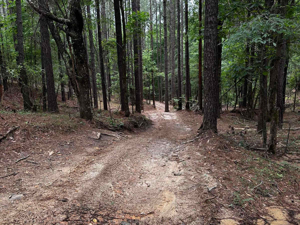 Trail 43 photo 5