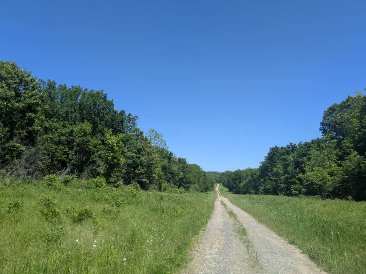 Black Hollow photo 5