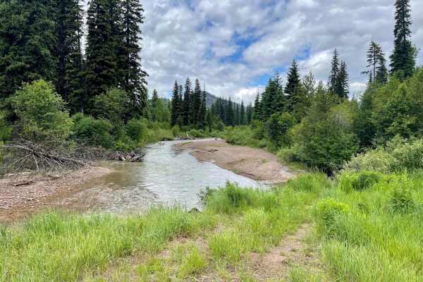 Monture Creek