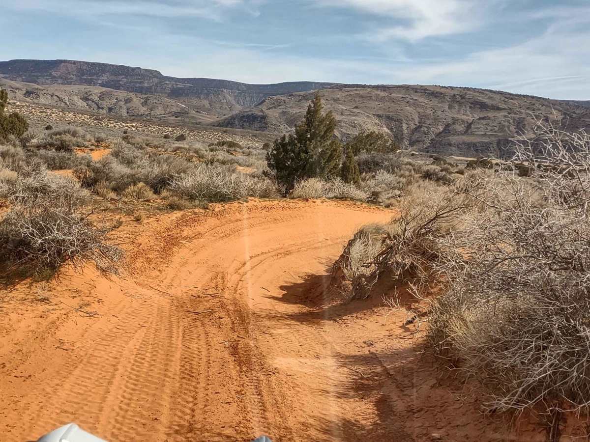 Backdoor to Babylon Loop photo 3