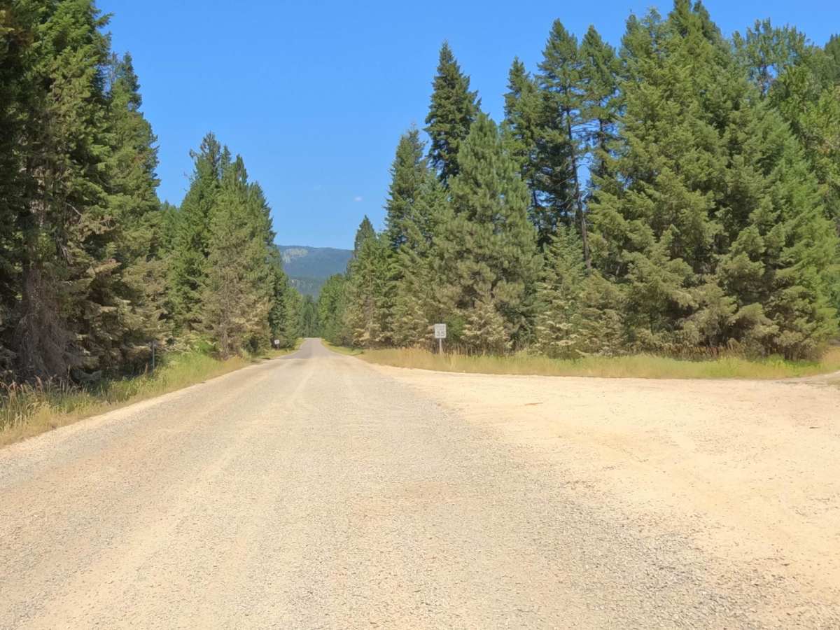 Moore Lake-St.Regis photo 5