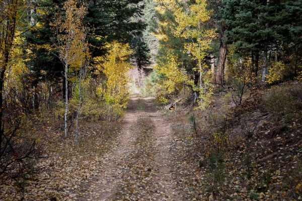 Mule Mountain Spur 1