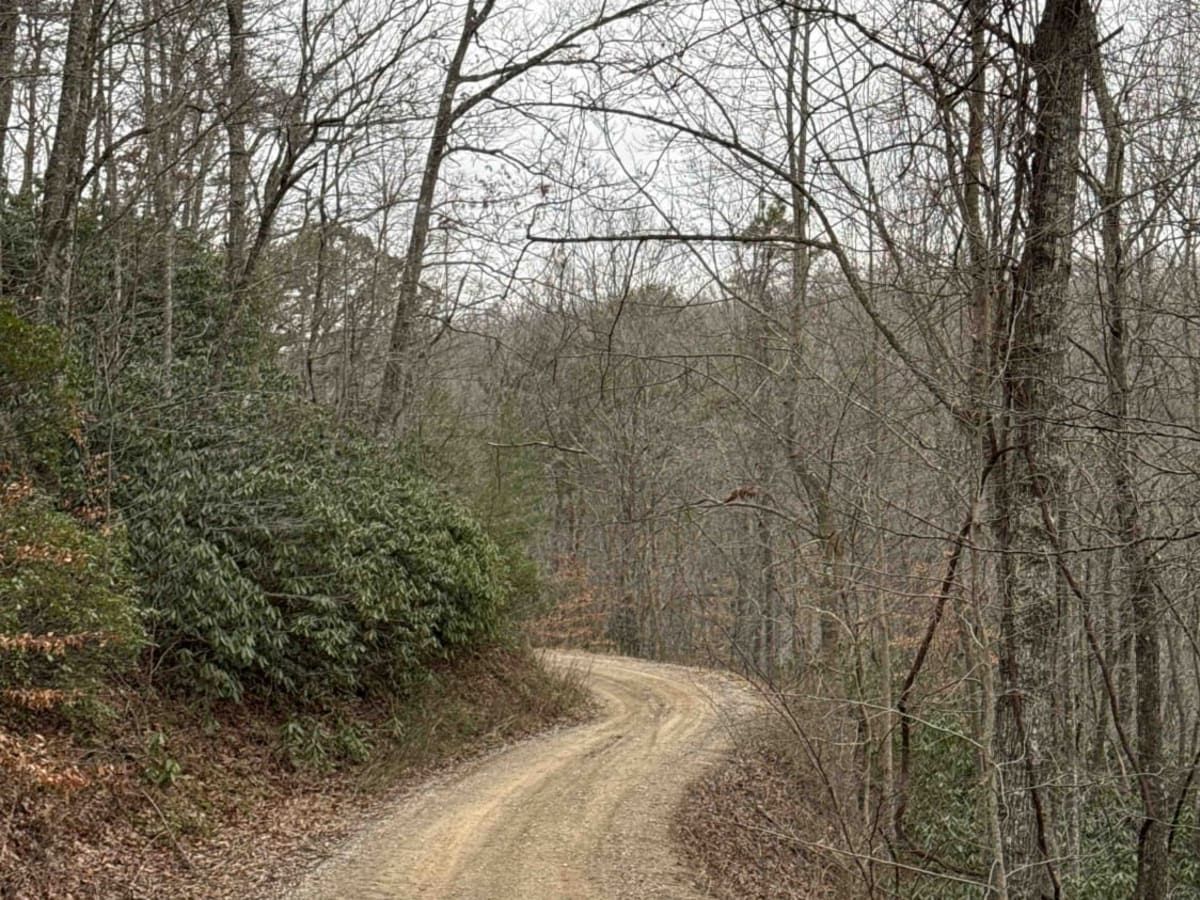 Bear Gap Road (FSR 431) photo 5