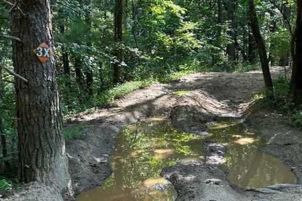 Trail 3X
