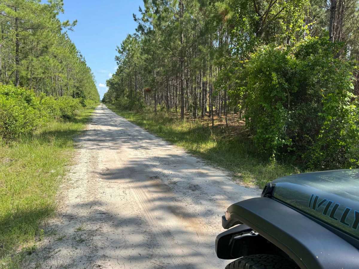 Fish Camp Road - CR2082 Connector photo 6