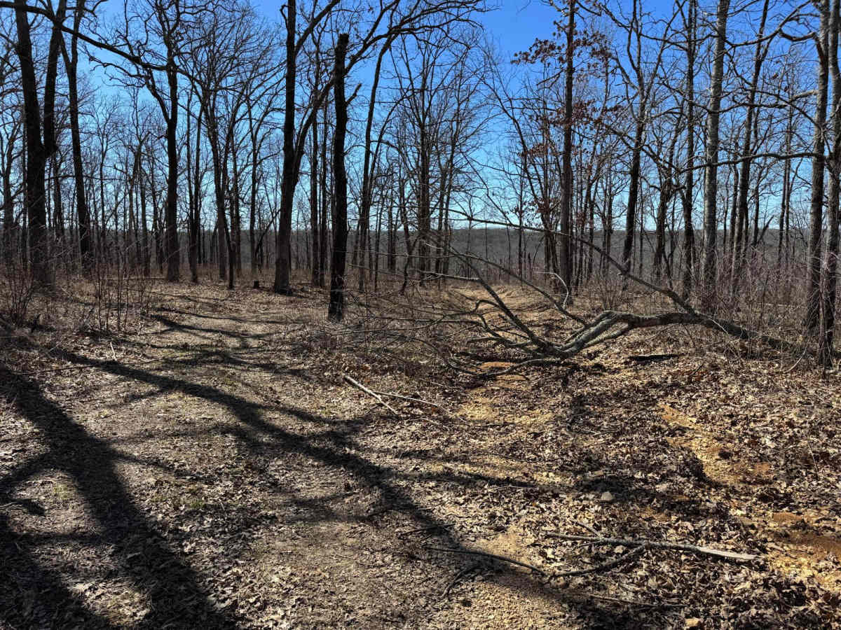 Brushy Ridge Spur B - FSR 606B photo 4