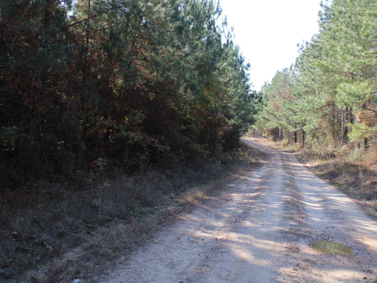 Rock Creek photo 3