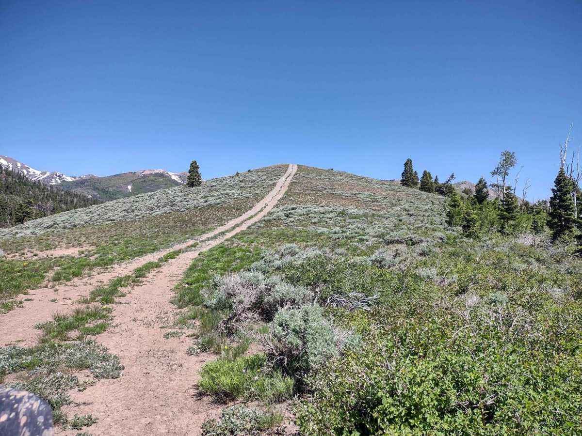 Gold Gulch Loop (FS# 41082) photo 6