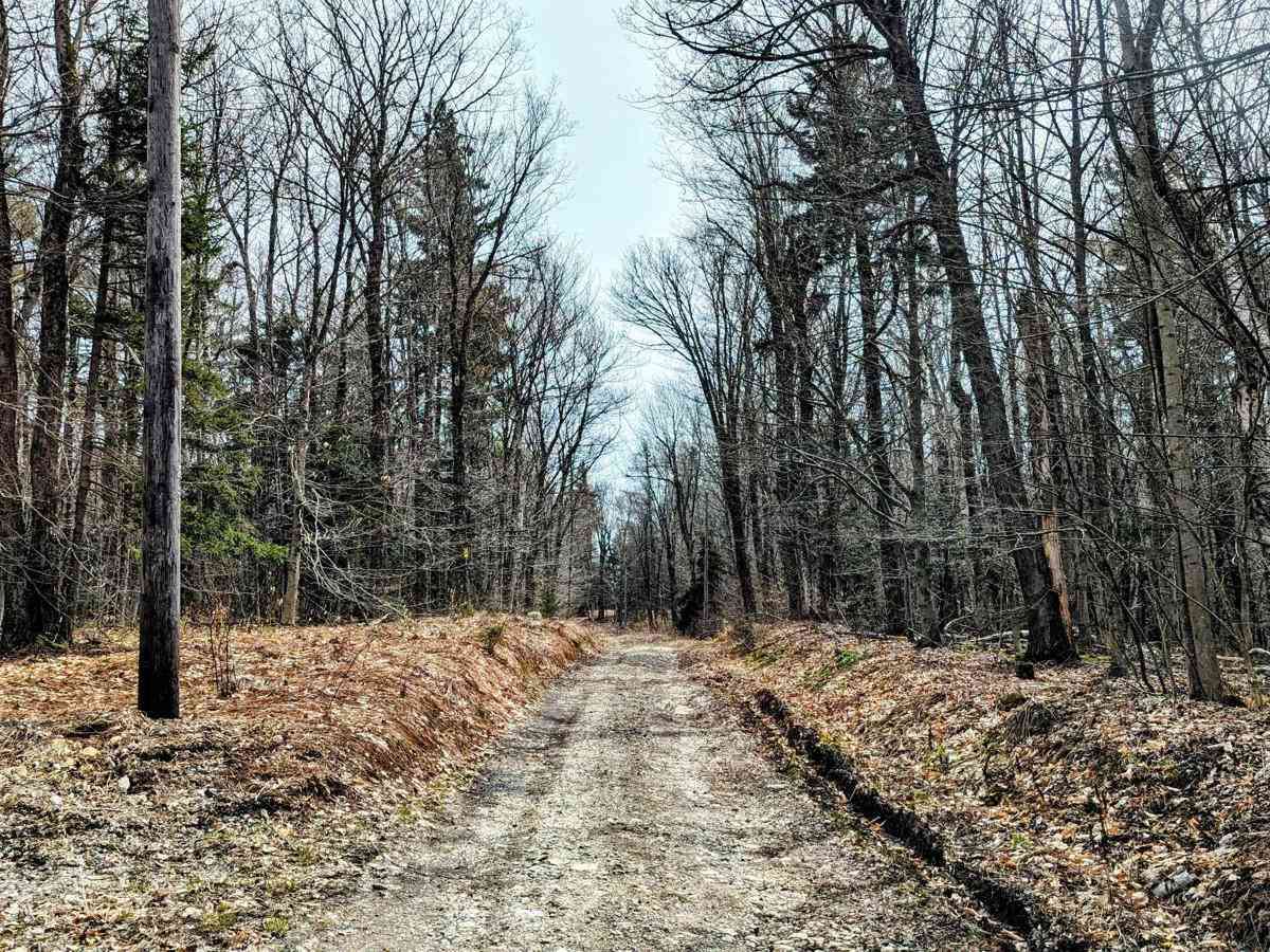 Savoy Road/New State Road photo 4