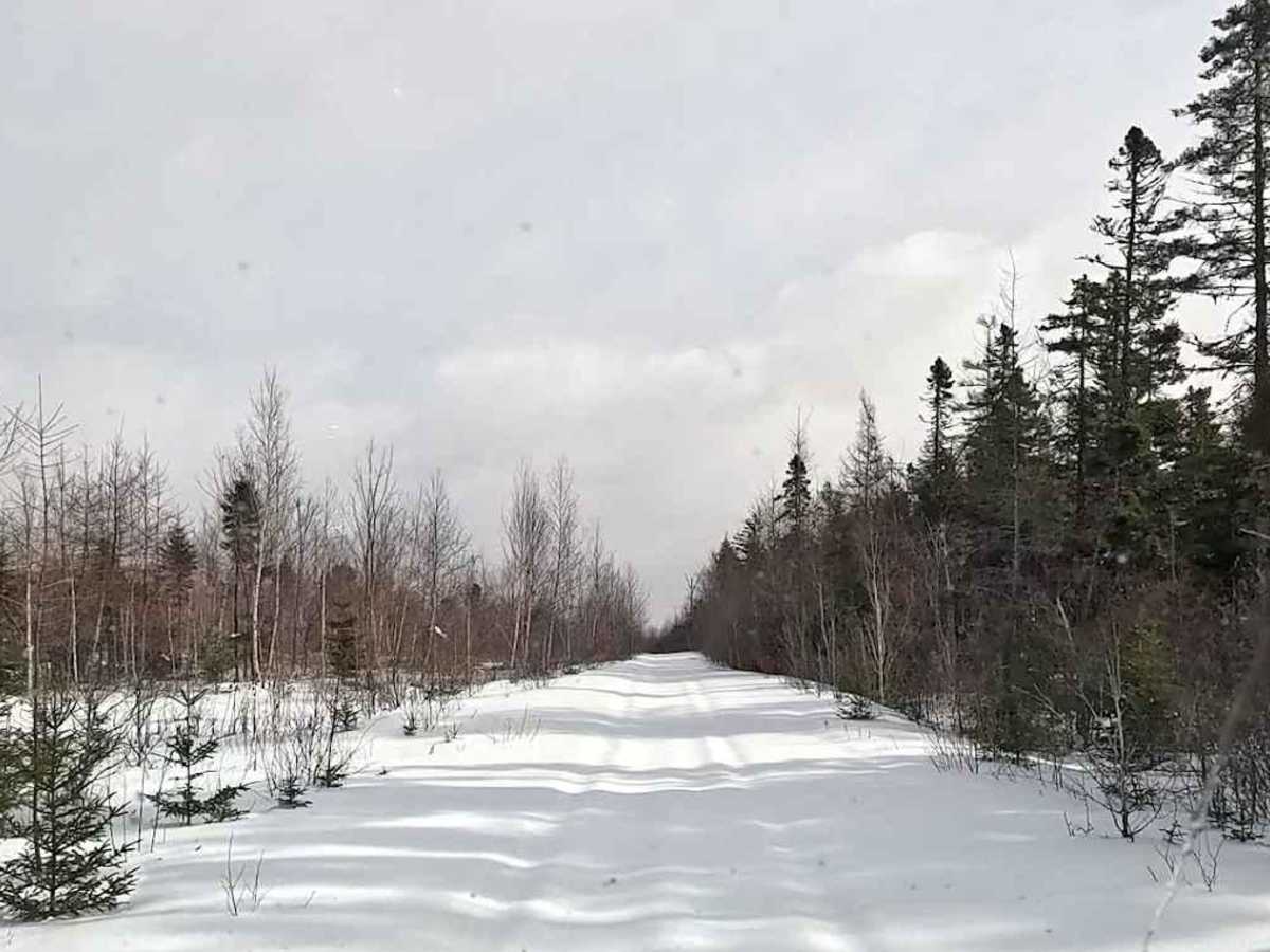 Durham Bridge Hydro Line photo 2