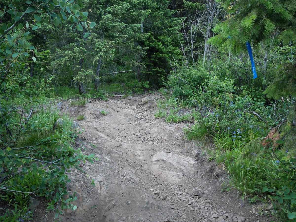 St Joe Divide NRT ATV (Kellogg Saddle to Dam Creek) trail photo