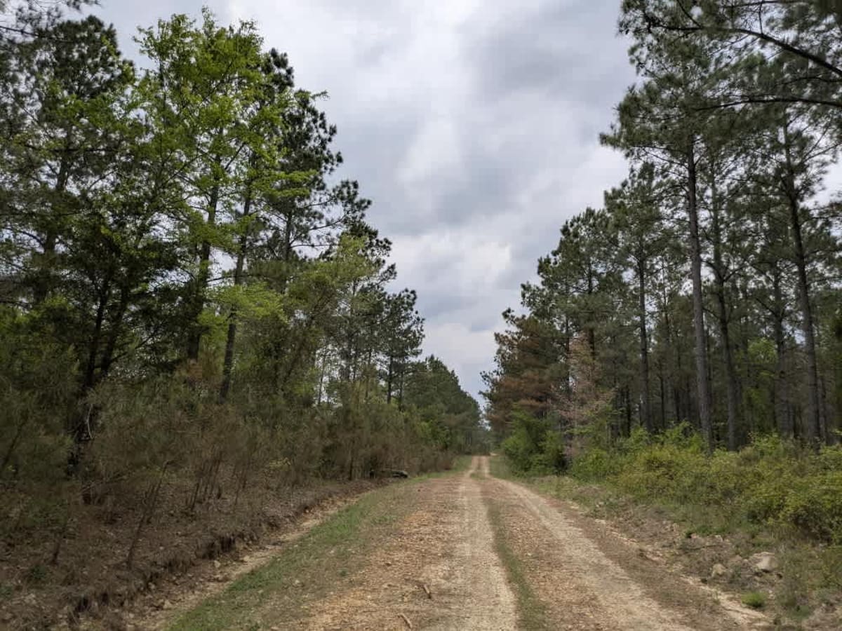 51705 photo 5