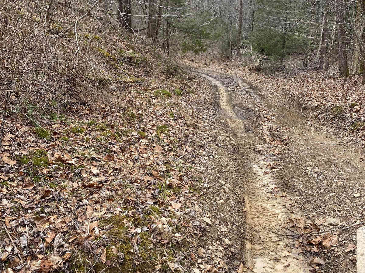 Trail 86 Windrock photo 5