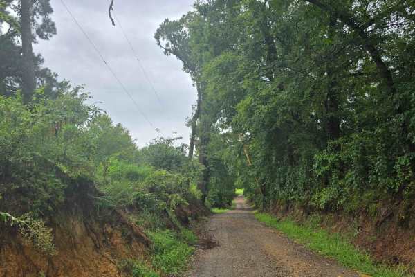 Highway 355 To Nacatoch Ravines