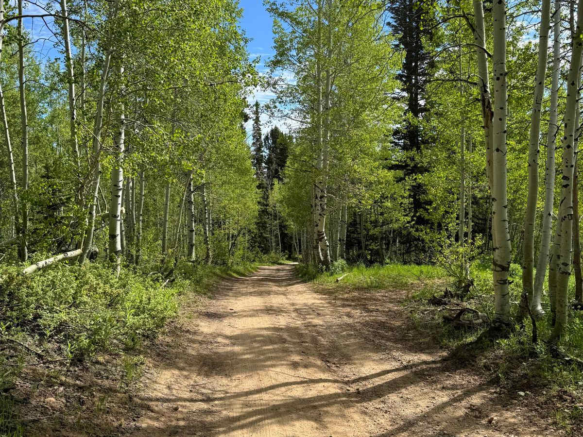 Dairy Ridge photo 5