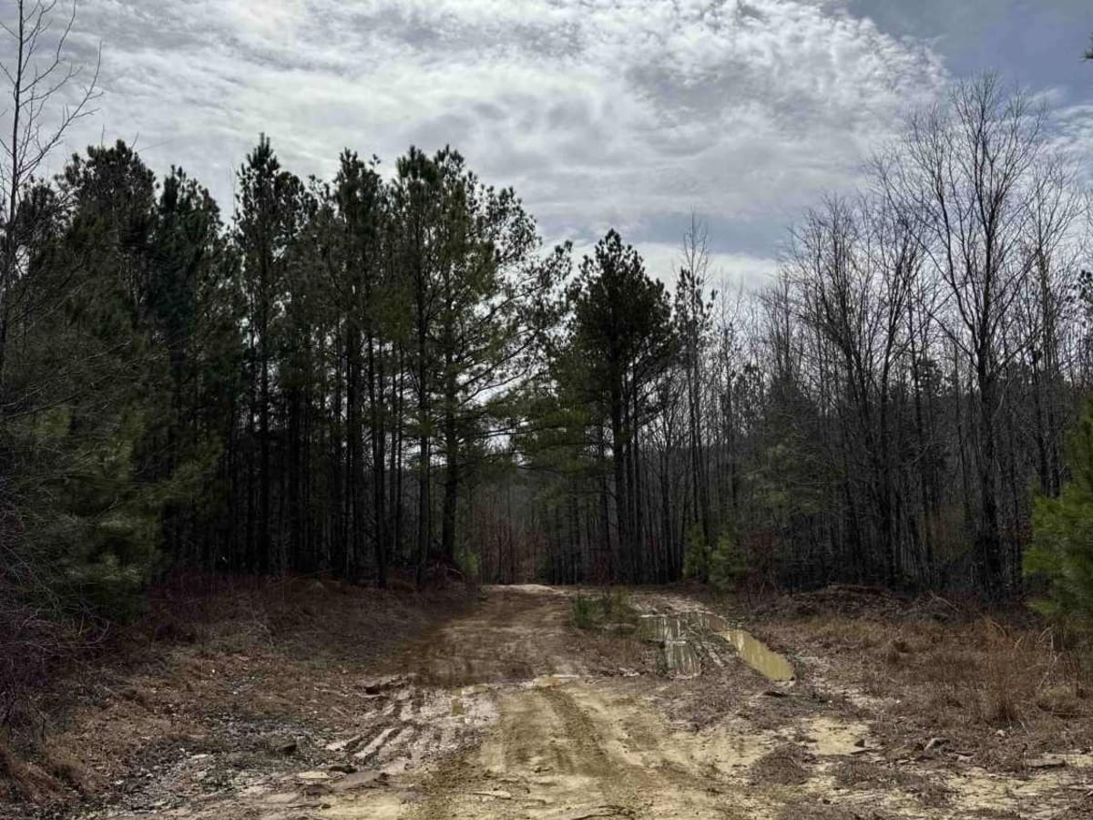 #71 Thompson Trail photo 4