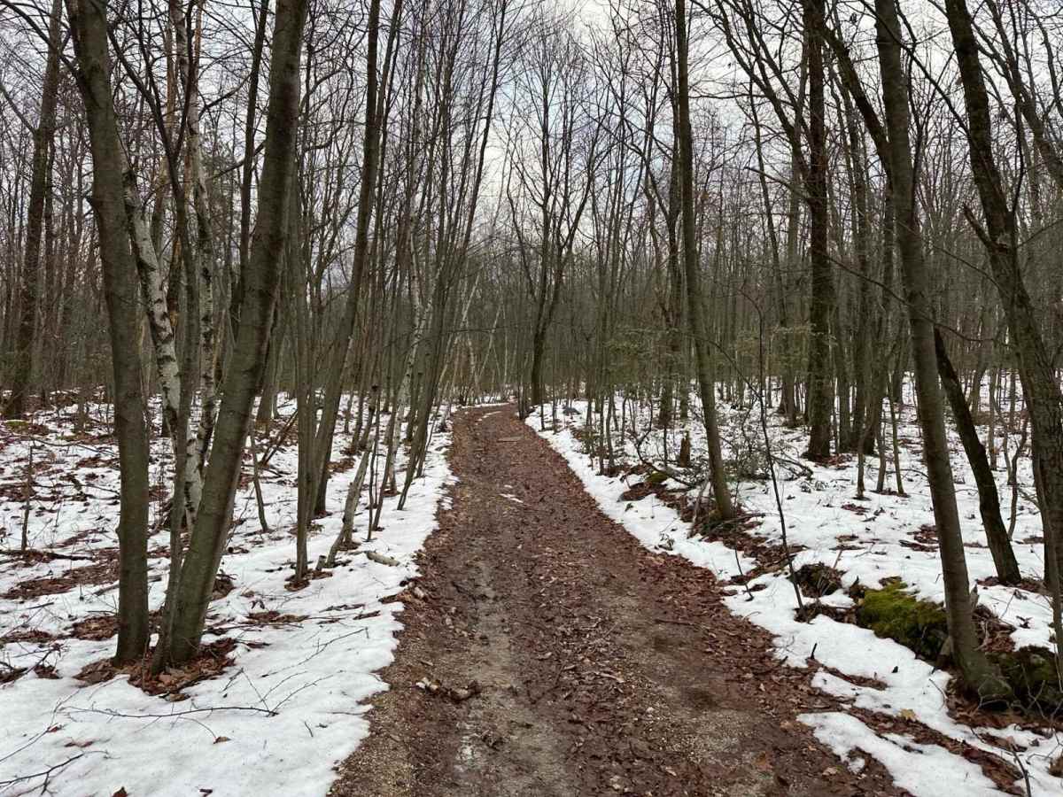 Ashland 183 photo 4