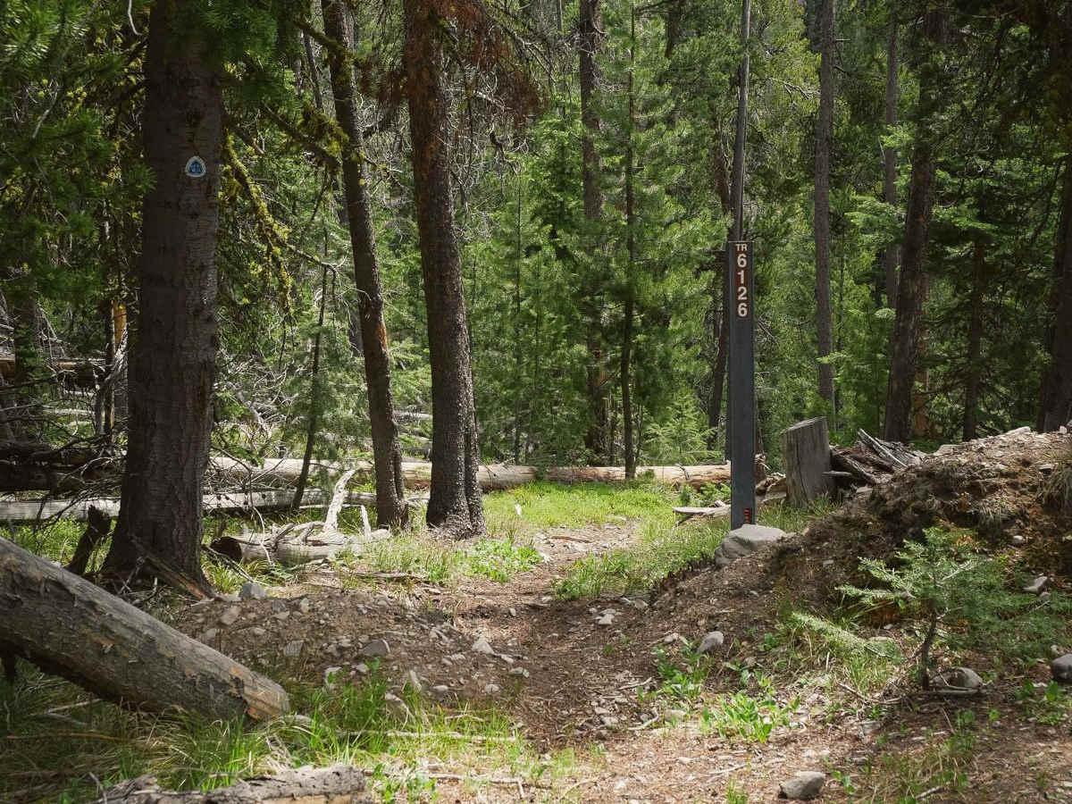 Sheep Creek photo 4