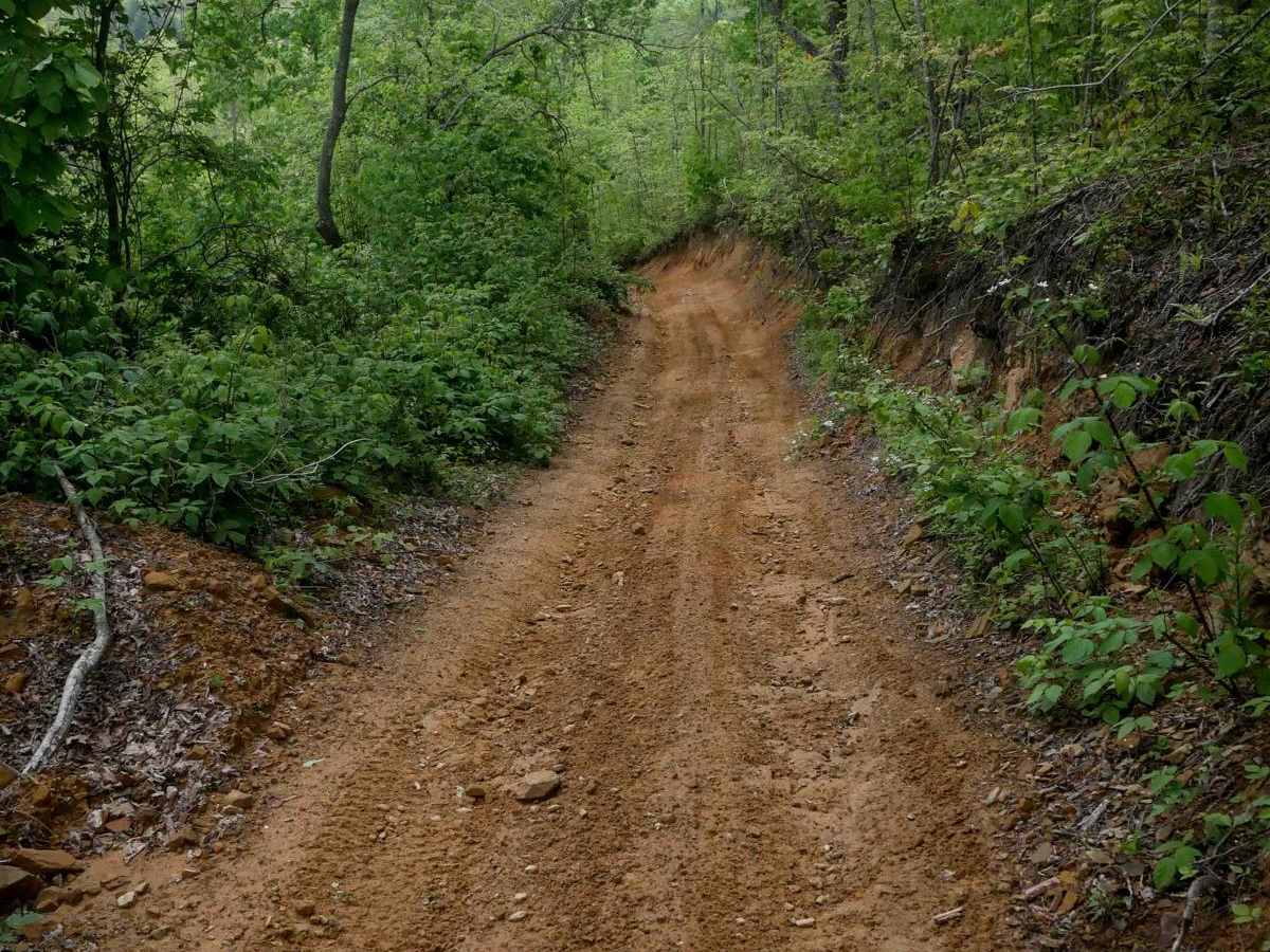 OP 26 trail photo