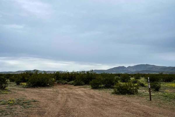 8106 Trail