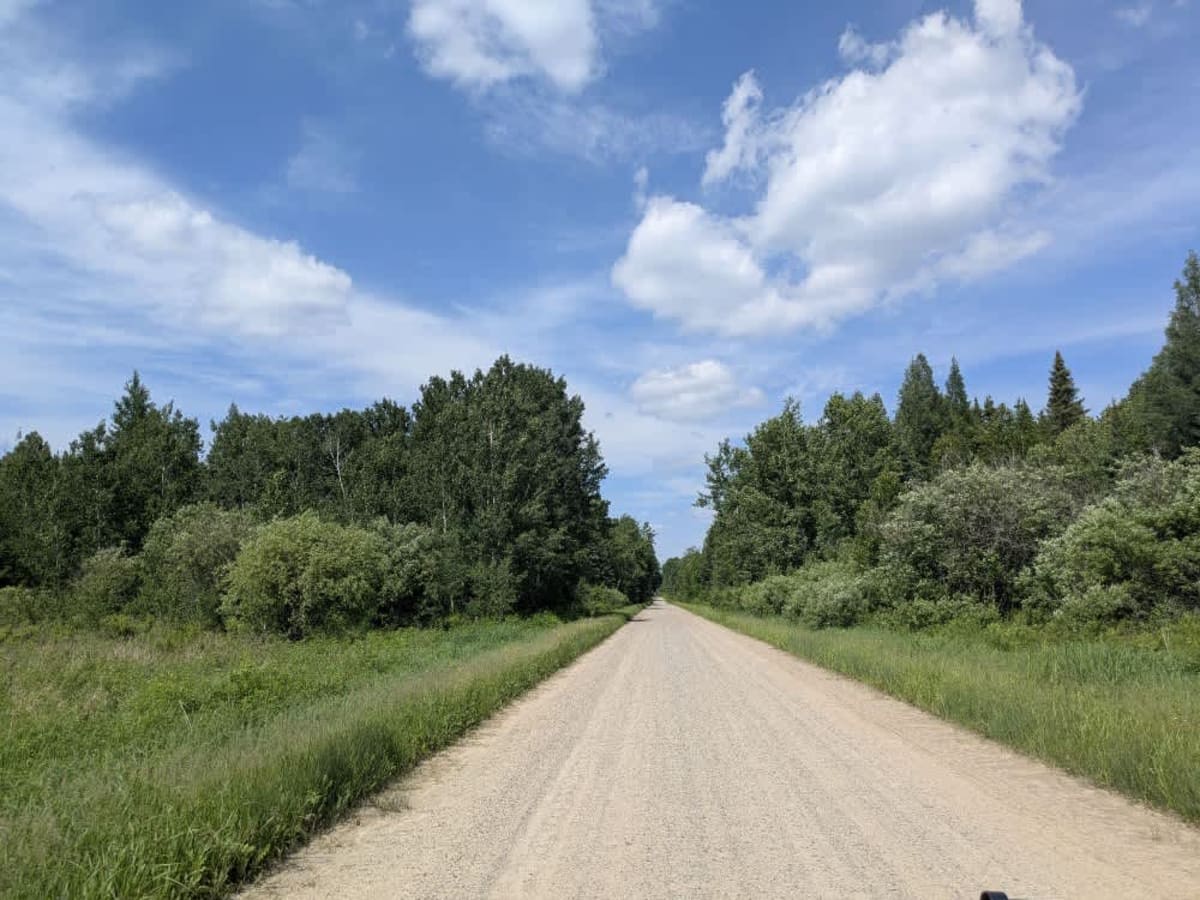 FS 253 photo 2