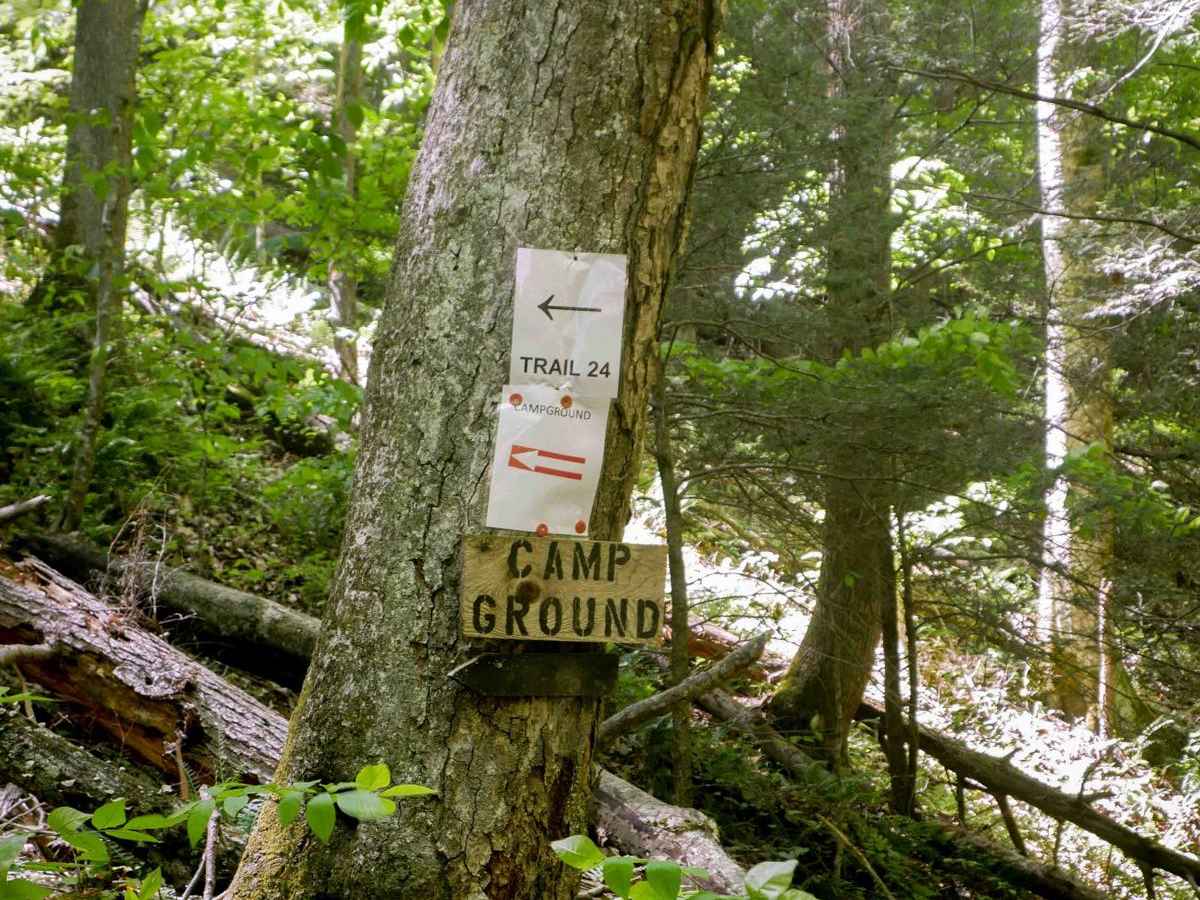 Trail 24 photo 6