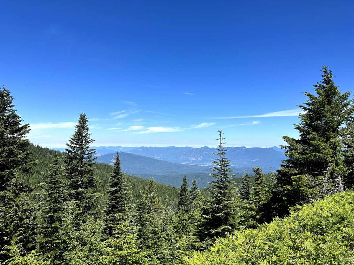 Burley Mountain Road photo 3