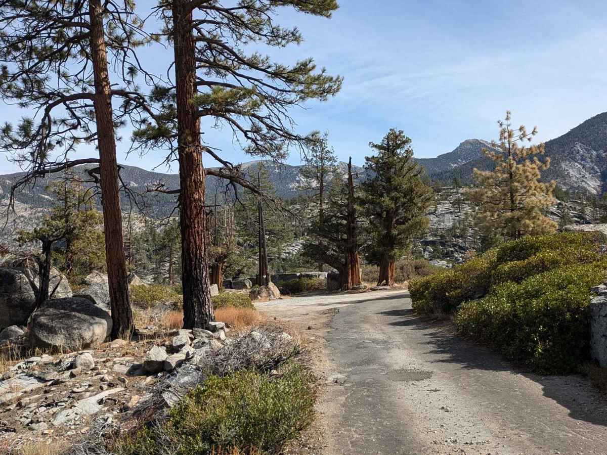 Florence Lake Road trail photo