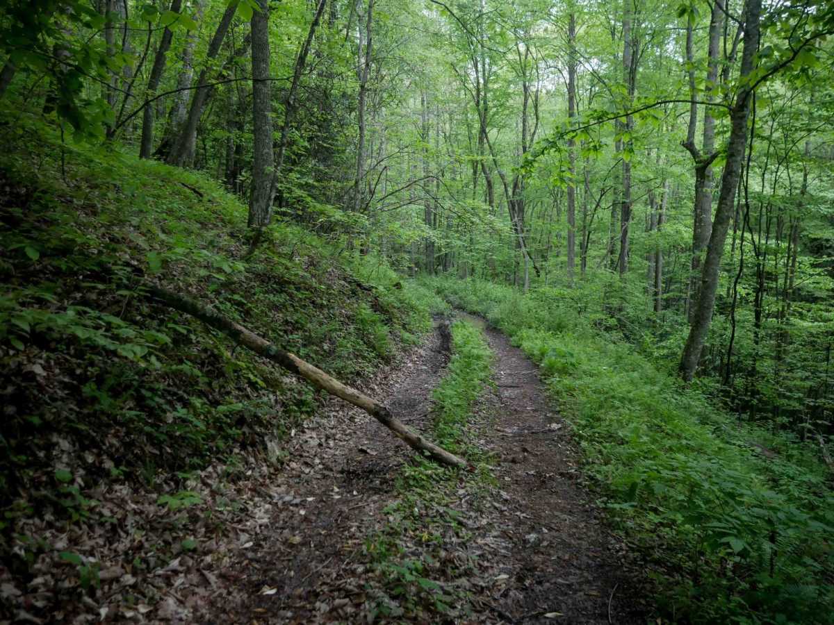 J80 trail photo