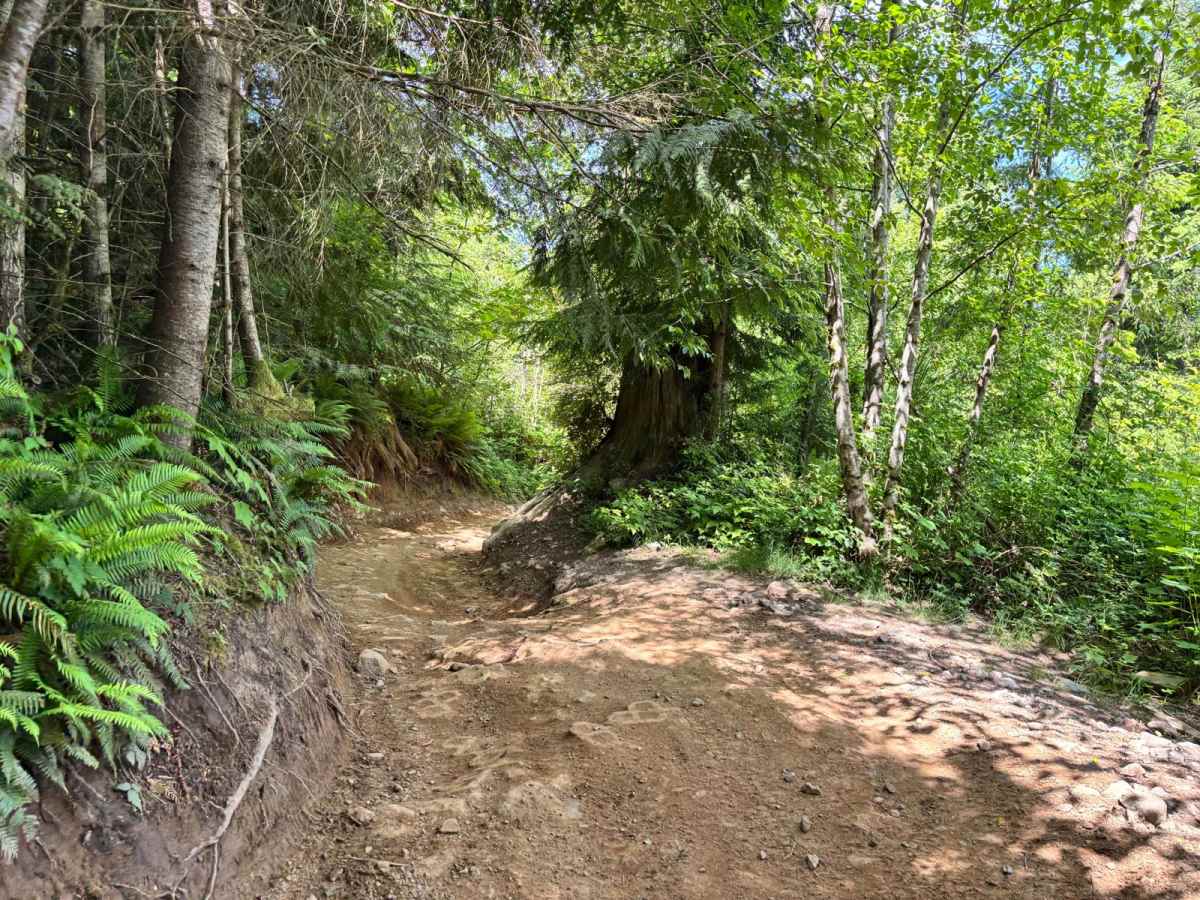 EZ Valley Connector photo 5