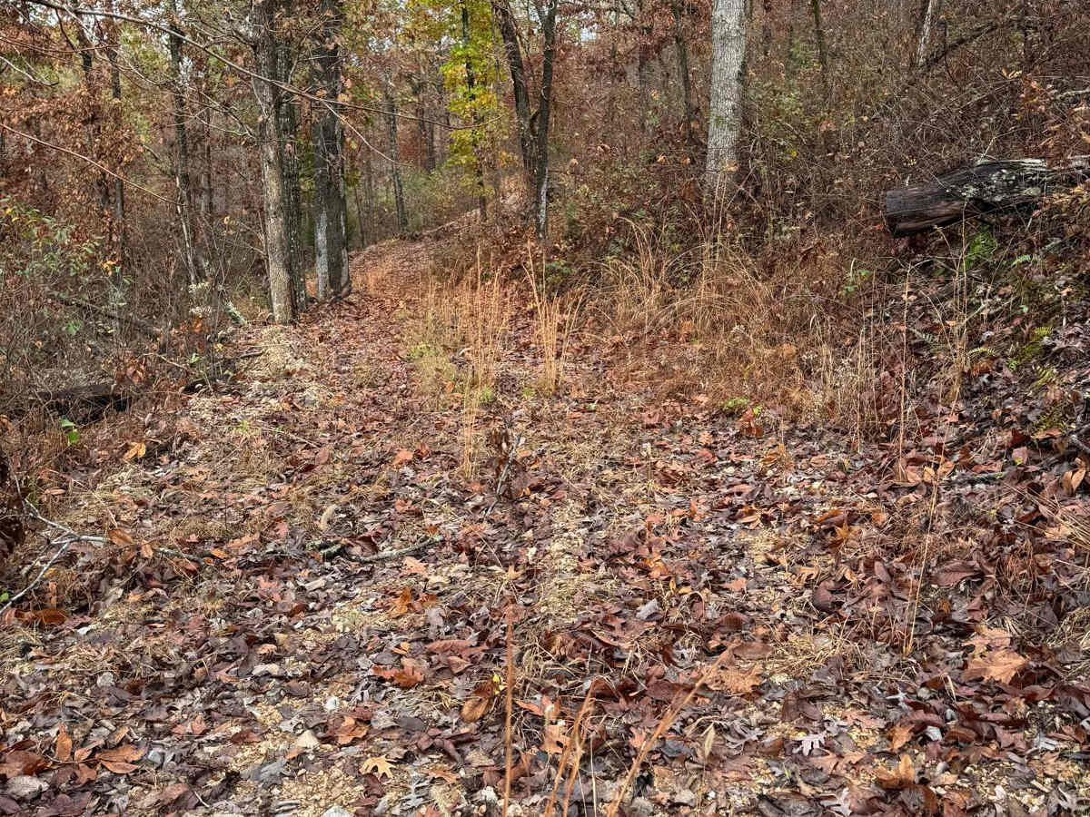 Green 104 photo 3