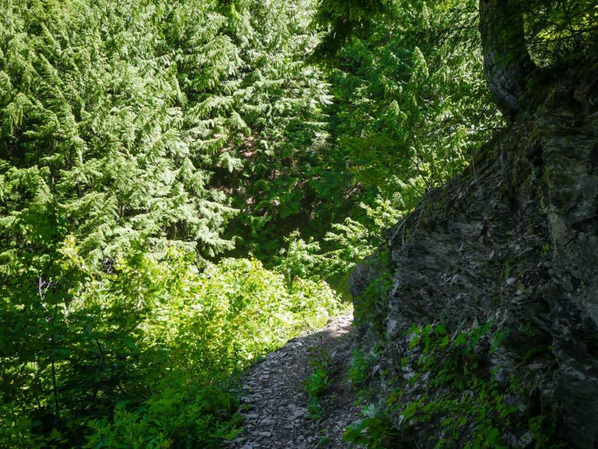 Cedar Creek photo 6