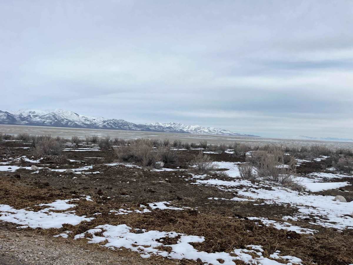 Spiral Jetty Lookout photo 5