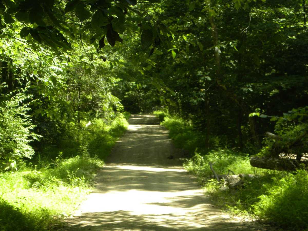 Trail 2B photo 4