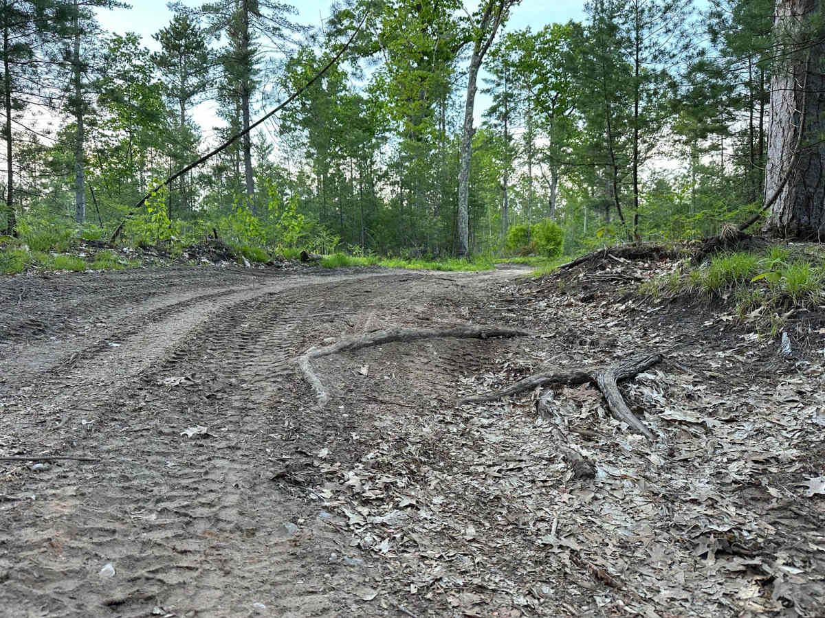 Lake Dubonnet Trail photo 5