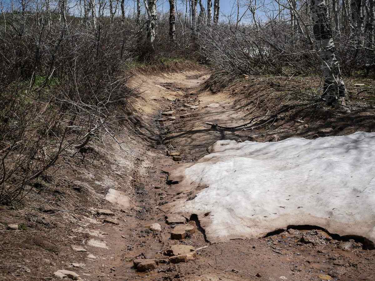 Gwt Strawberry Ridge ATV photo 5