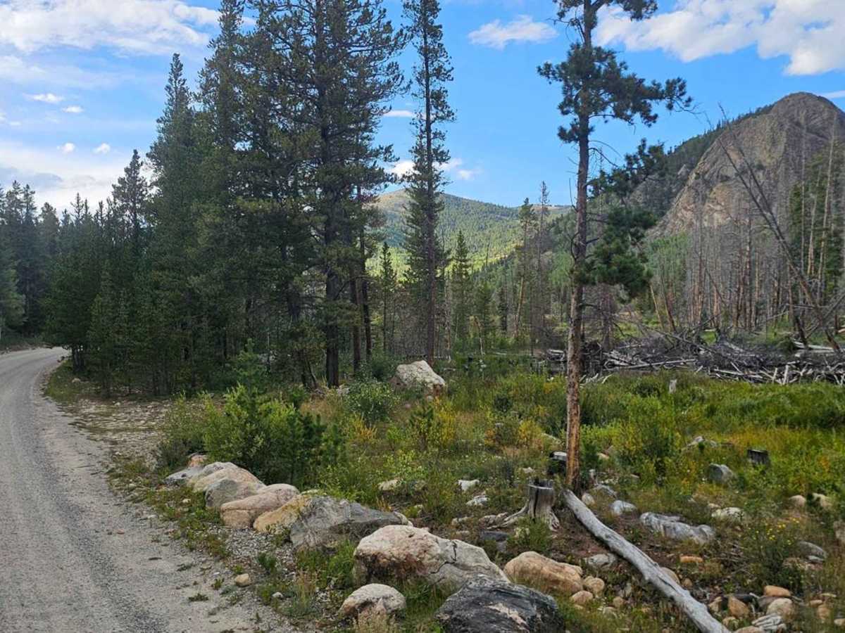 Jefferson Lake Road photo 5