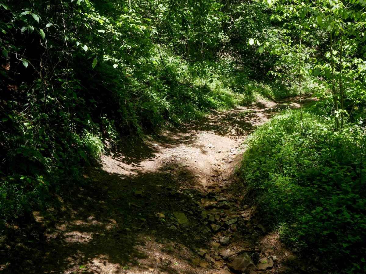 CC30 photo 6