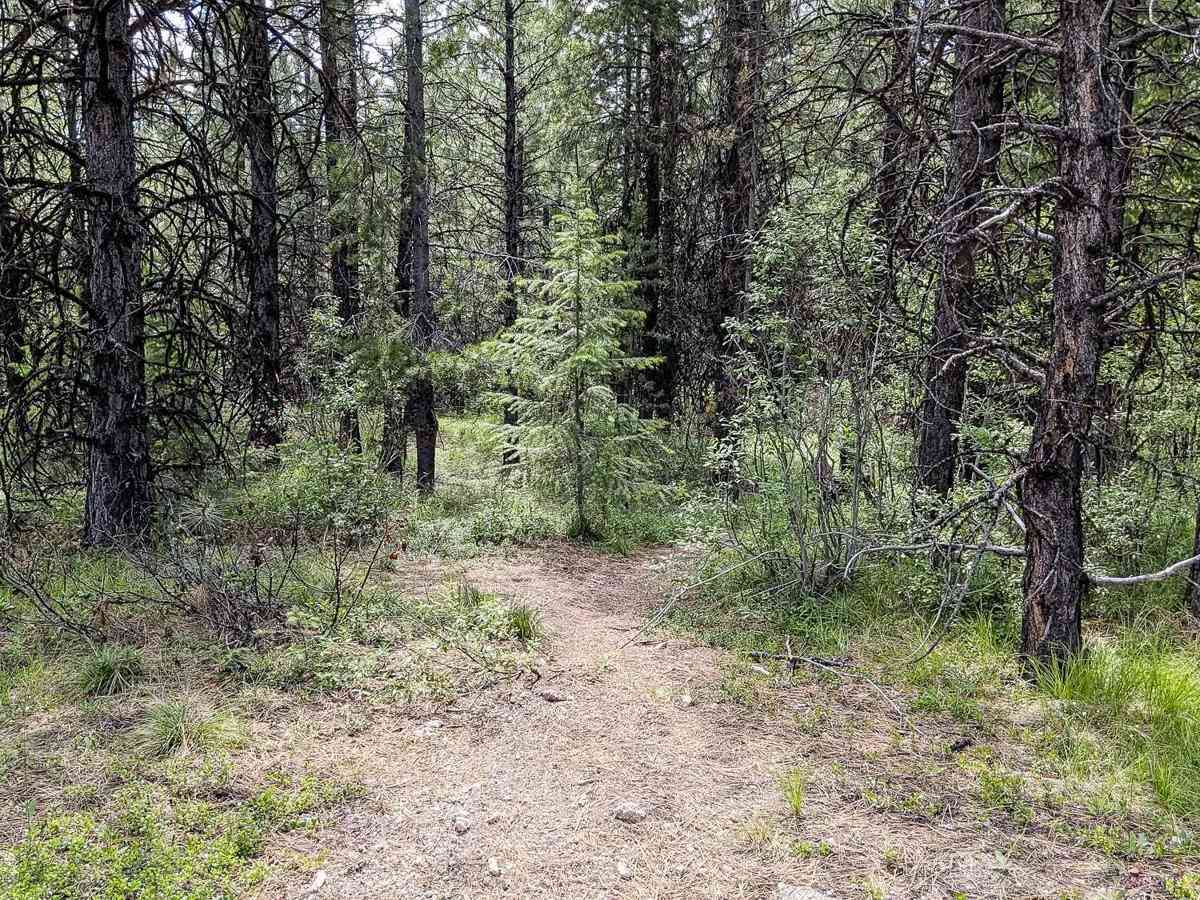 Granite Ridge Trail 239 photo 3