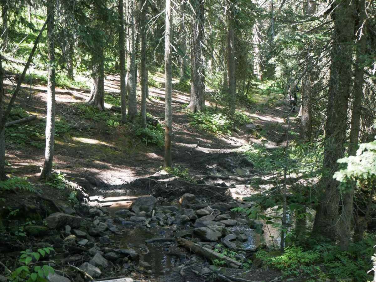 West Mancos Trail photo 2