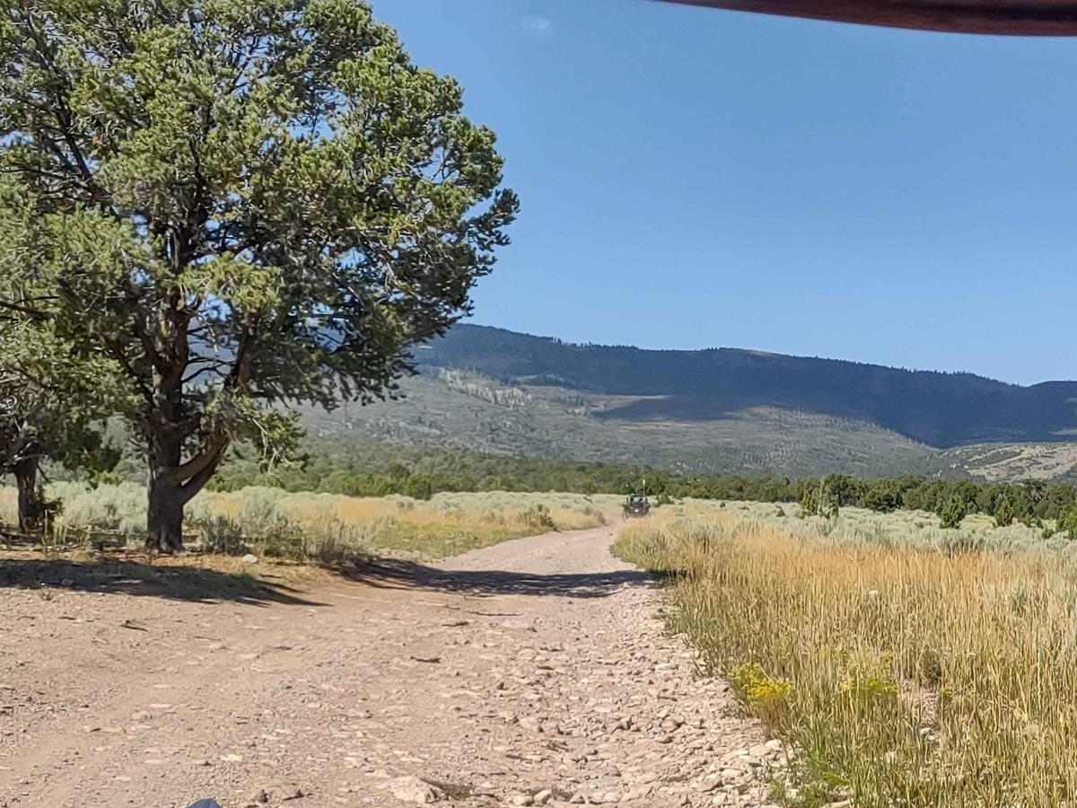 Clear Creek/Mill Creek - FS #40583, PST15A photo 4