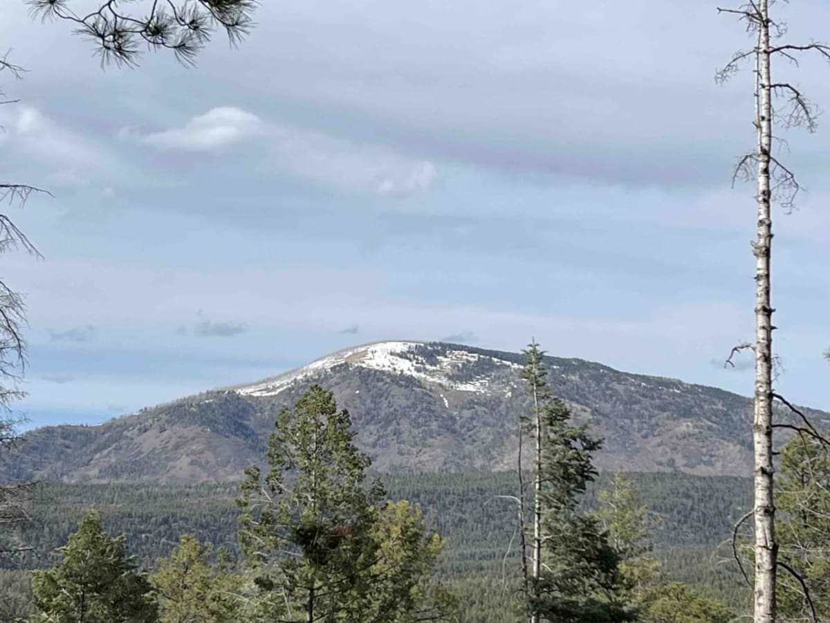 Forest Service Road 10 photo 4