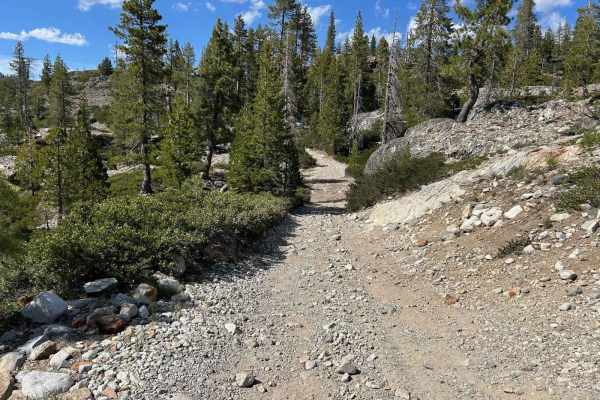 Meadow Lake Road