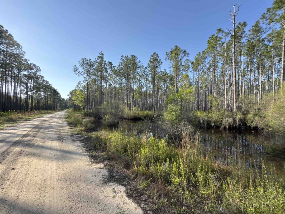 Ashmore - Apalachicola FR 321 photo 2