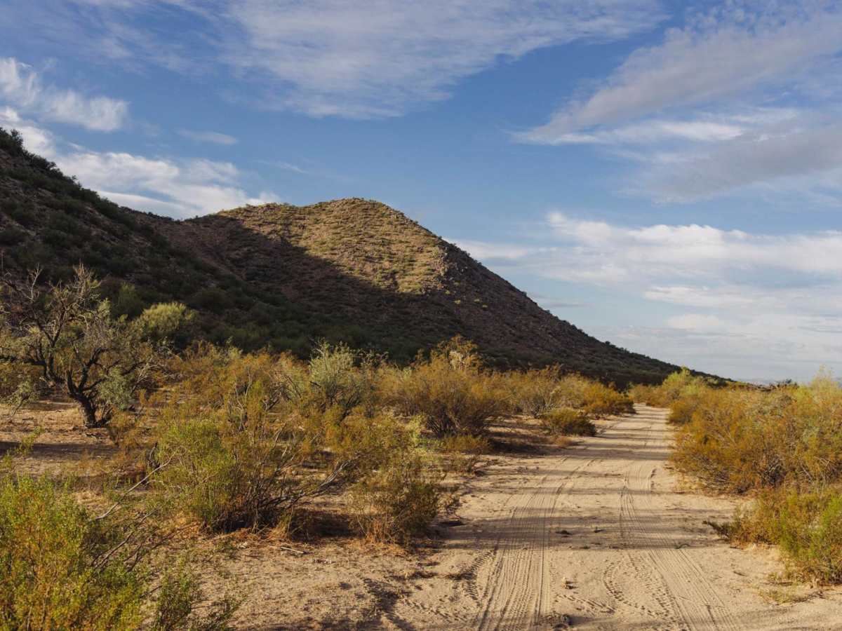 Jam Ranch Cutthrough trail photo