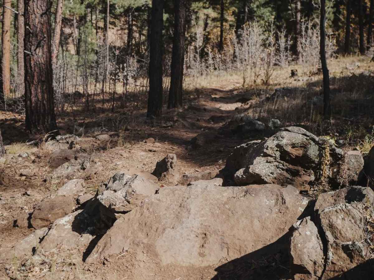 Seminary trail photo