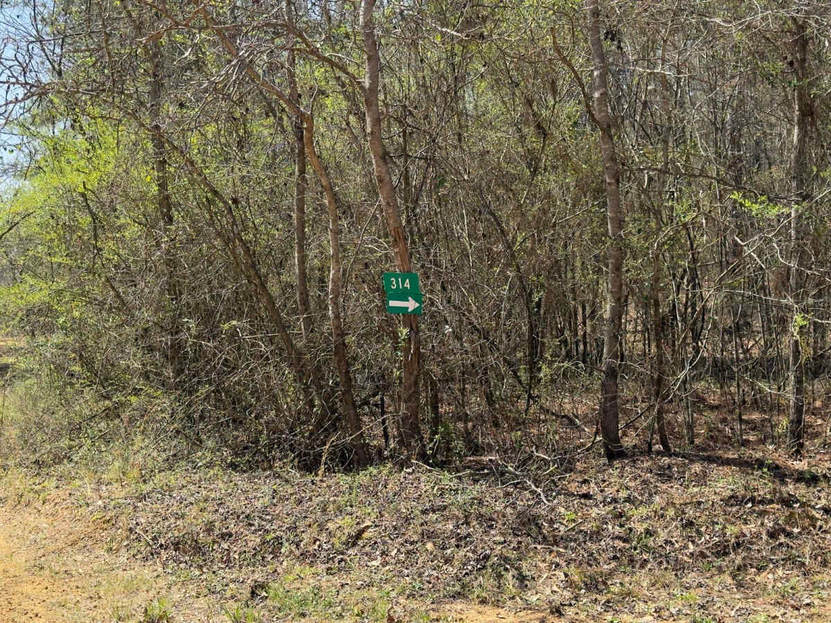 314 trail photo